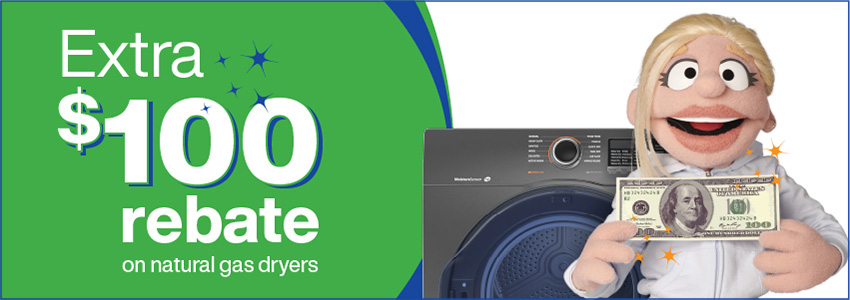 Sept Dryer Promo